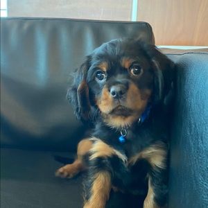 Meet your Posher, Christina